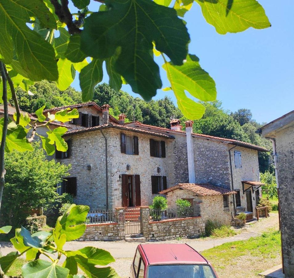 Cara House Tuscany - Zona Lucca Chiatri Dış mekan fotoğraf
