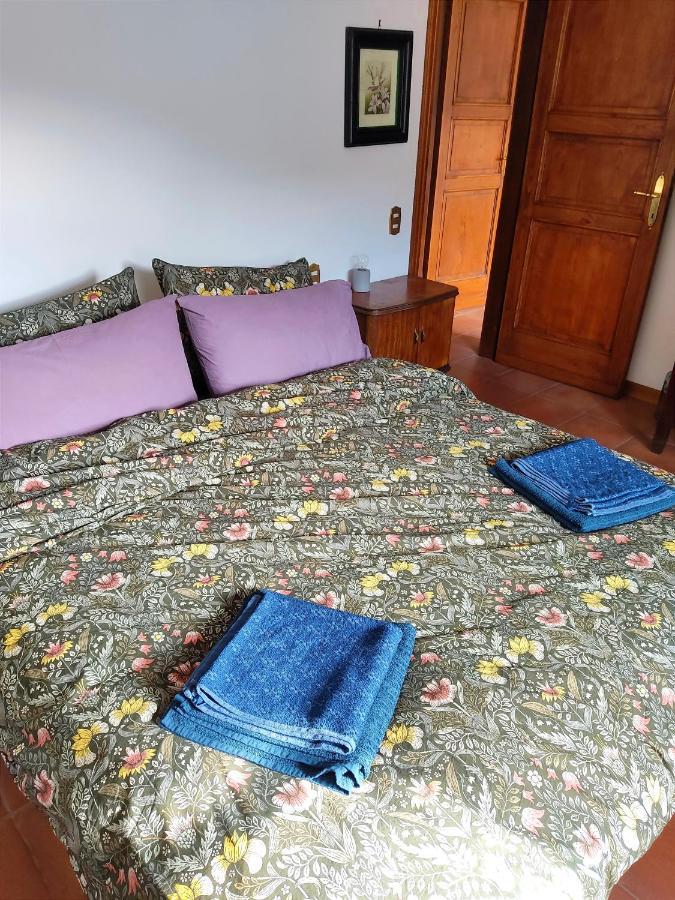 Cara House Tuscany - Zona Lucca Chiatri Dış mekan fotoğraf